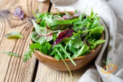 Lettuce - Gourmet/Mesclun Mix 12 Lettuce - Gourmet/Mesclun Mix -seedsnow Sales Store 700xshutterstock 185953340