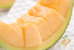 Melon (Cantaloupe) - Planters Jumbo -seedsnow Sales Store 700xshutterstock 186812645