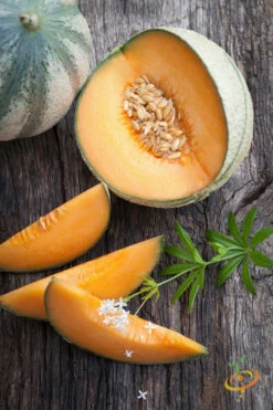 Melon (Cantaloupe) - Hales Best Jumbo -seedsnow Sales Store 700xshutterstock 188318723