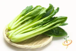 Mustard - Tendergreen -seedsnow Sales Store 700xshutterstock 188949680