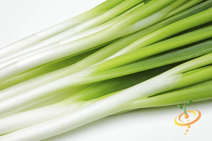 Onion - Tokyo Long White (Bunching), Scallion 5 Onion - Tokyo Long White (Bunching), Scallion - Image 3