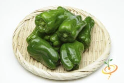 Pepper (Hot) - Ancho Grande 🔥 -seedsnow Sales Store 700xshutterstock 190506200