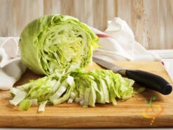 Lettuce - Iceberg -seedsnow Sales Store 700xshutterstock 192163613