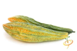 Melon - Banana -seedsnow Sales Store 700xshutterstock 192228485 1