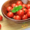 Tomato - Tiny Tim (Determinate) 2 Tomato - Tiny Tim (Determinate) -seedsnow Sales Store 700xshutterstock 192380963 700x 3a593e0c 9270 4369 99ee 60d683a6160e