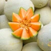 Melon (Cantaloupe) - Planters Jumbo 2 Melon (Cantaloupe) - Planters Jumbo -seedsnow Sales Store 700xshutterstock 194922302 700x 9a7a0918 b515 4c56 a9ea 414a0823d392