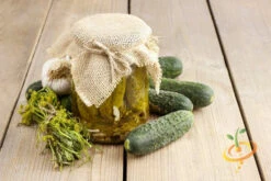 Cucumber - Boston Pickling -seedsnow Sales Store 700xshutterstock 197699132