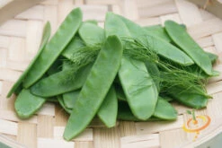 Pea (Snow) - Oregon Giant 19 Pea (Snow) - Oregon Giant -seedsnow Sales Store 700xshutterstock 199397561