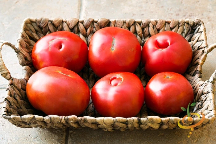 Tomato - Homestead (Determinate) 5 Tomato - Homestead (Determinate) - Image 3