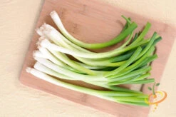 Onion - Evergreen (Bunching) 13 Onion - Evergreen (Bunching) -seedsnow Sales Store 700xshutterstock 202772854