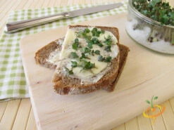 Sprouts/Microgreens - Broccoli -seedsnow Sales Store 700xshutterstock 203776705