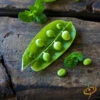 Pea (Snap) - Sugar -seedsnow Sales Store 700xshutterstock 204425740