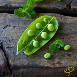 Pea (Snap) - Sugar