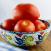 Tomato - Rutgers (Indeterminate) -seedsnow Sales Store 700xshutterstock 207009082 700x cfc9cc19 fa32 4d31 a03f 52a25e6421a2
