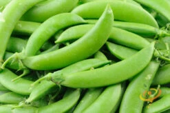 Pea (Snap) - Sugar -seedsnow Sales Store 700xshutterstock 45091780