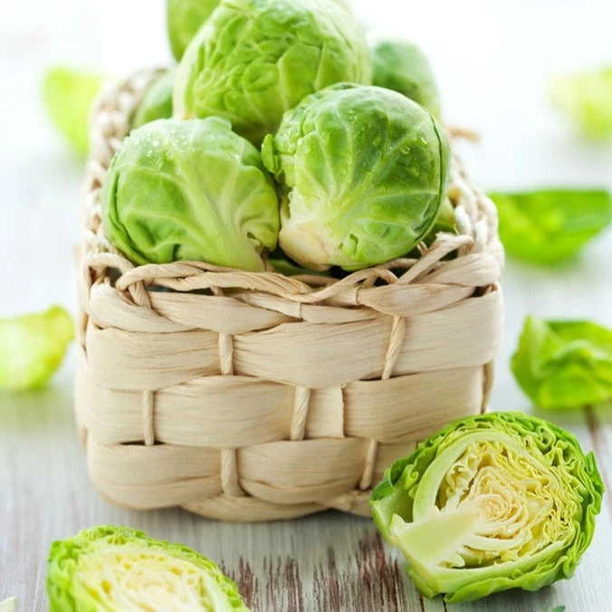 Brussels Sprouts - Long Island Catskill 4 Brussels Sprouts - Long Island Catskill - Image 2