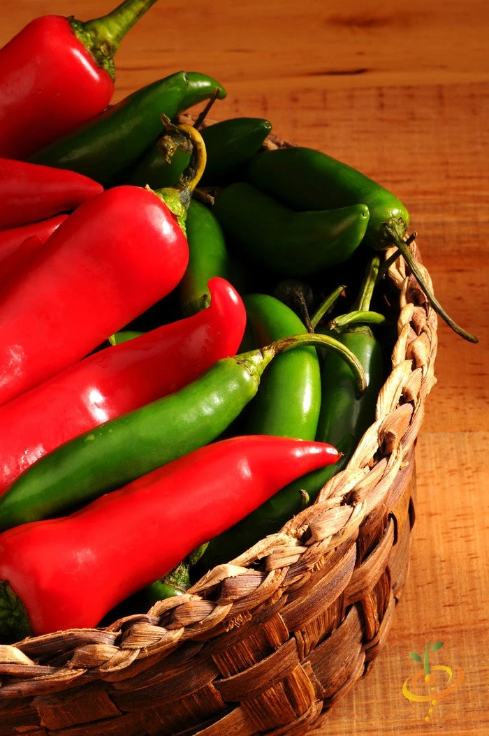 Pepper (Hot) - Serrano Tampiqueno 🔥🔥 5 Pepper (Hot) - Serrano Tampiqueno 🔥🔥 - Image 3