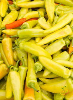 Pepper (Hot) - Hungarian Hot Wax 🔥 -seedsnow Sales Store 700xshutterstock 84822523