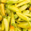 Pepper (Hot) - Hungarian Hot Wax 🔥 -seedsnow Sales Store 700xshutterstock 84822523 700x ec2c4816 7ffc 4195 aaaa 776887cb6c52
