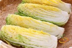 Cabbage - Michihili -seedsnow Sales Store 700xshutterstock 95970610