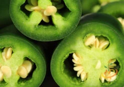Pepper (Hot) - Jalapeño, Green 🔥🔥 -seedsnow Sales Store 700xshutterstock 96640660
