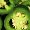 Pepper (Hot) - Jalapeño, Green 🔥🔥 -seedsnow Sales Store 700xshutterstock 96640660 700x 78c2352a ceef 4687 ae0d 9dc53d133f2b