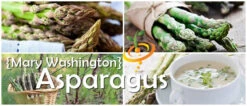 Asparagus - Mary Washington (Seeds) -seedsnow Sales Store Asparagus