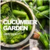 All-in-One Cucumber Garden Variety Pack 2 All-in-One Cucumber Garden Variety Pack -seedsnow Sales Store CUCU