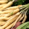 Carrot - Lunar White, 12" Long -seedsnow Sales Store CarrotLunarWhite