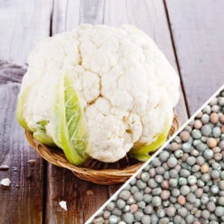 Cauliflower - Igloo -seedsnow Sales Store Cauliflower Igloo seeds
