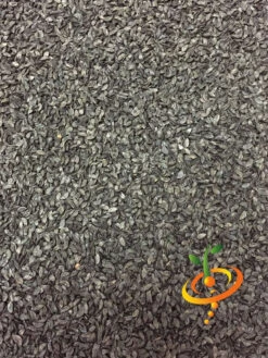 Chives -seedsnow Sales Store Chives Garlic 2