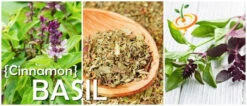 Basil, Cinnamon (Mexican Basil) 23 Basil, Cinnamon (Mexican Basil) -seedsnow Sales Store Cinnamon Basil