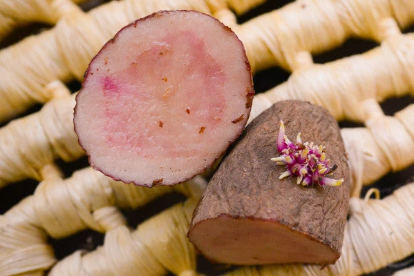 Potato (Late-Season) Fingerling - Red Thumb (Organic/Heirloom) 7 Potato (Late-Season) Fingerling - Red Thumb (Organic/Heirloom) - Image 5