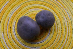 Potato (Mid-Season) - Purple Majesty (ORGANIC) -seedsnow Sales Store DSC 9550