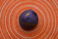 Potato (Mid-Season) - Huckleberry Gold (ORGANIC) -seedsnow Sales Store DSC 9556