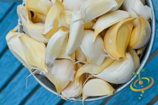 Garlic - (Soft Neck) Silver Rose 8 Garlic - (Soft Neck) Silver Rose - Image 6