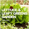 All-in-One Lettuce & Leafy Greens Variety Pack -seedsnow Sales Store LETS 3a098c1c 3f71 4a22 b93d b8584cd5221c