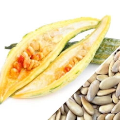 Melon - Banana -seedsnow Sales Store Melon Banana seeds