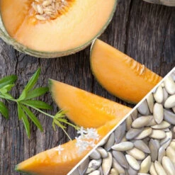 Melon (Cantaloupe) - Hales Best Jumbo -seedsnow Sales Store Melon Hales Best Jumbo seeds
