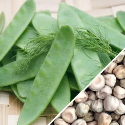 Pea (Snow) - Oregon Giant 27 Pea (Snow) - Oregon Giant -seedsnow Sales Store Pea Oregon Giant seeds
