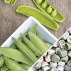 Pea (Snap) - Sugar Ann -seedsnow Sales Store Pea Sugar Ann seeds b50dbf43 8a2f 4fea b1bd 0712ffbcfc51