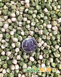 Pea (Snap) - Sugar -seedsnow Sales Store Pea Sugar Snap seeds now 2