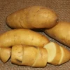 Potato, Fingerling (Late-Season) - Austrian Crescent (Organic/Heirloom) -seedsnow Sales Store Potato Fingerling Austrian Crescent Organic Heirloom