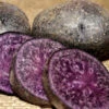 Potato (Mid-Season) - Purple Majesty (ORGANIC) 1 Potato (Mid-Season) - Purple Majesty (ORGANIC) -seedsnow Sales Store Purple Majesty