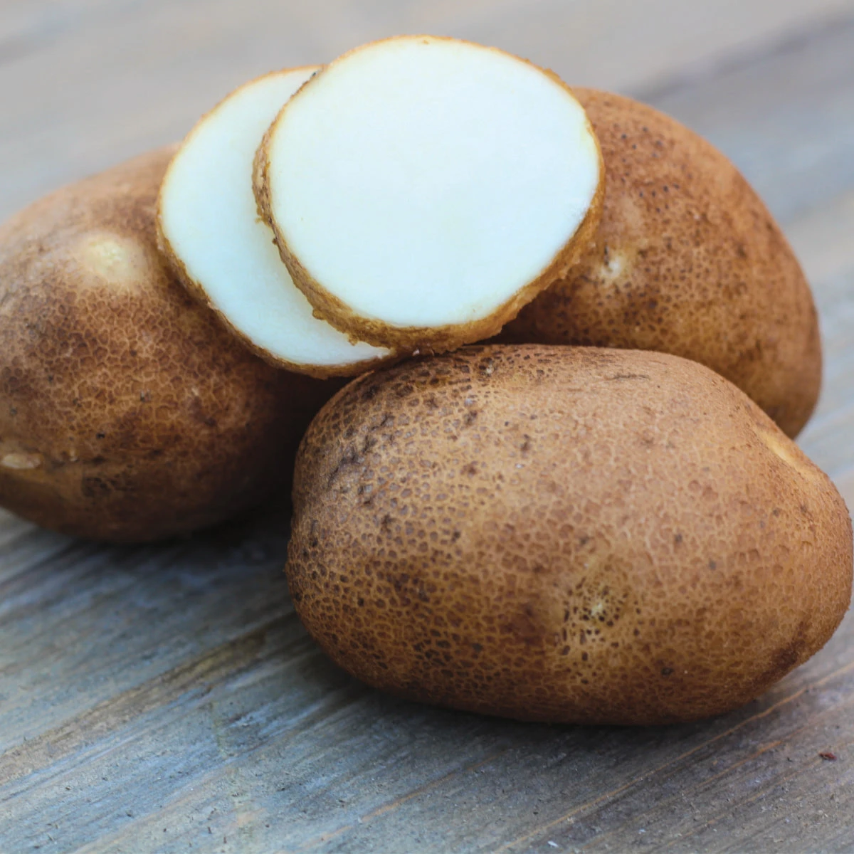 Potato (Mid-Season) - Russet Norkotah 3 Potato (Mid-Season) - Russet Norkotah