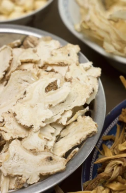 Angelica (Wild Celery / Holy Ghost) 12 Angelica (Wild Celery / Holy Ghost) -seedsnow Sales Store Screen Shot 2015 03 12 at 8.28.13 AM