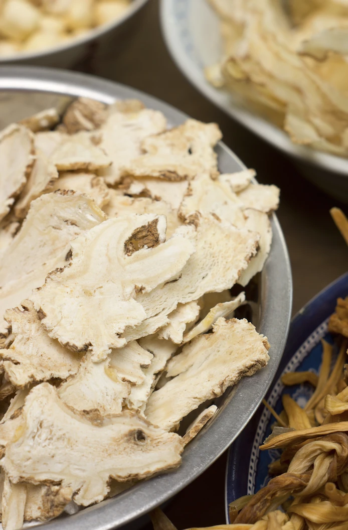 Angelica (Wild Celery / Holy Ghost) 6 Angelica (Wild Celery / Holy Ghost) - Image 4