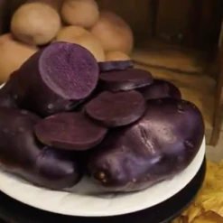 Potato (Late-Season) - Magic Molly (Organic/Heirloom)