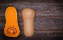 Squash (Winter) - Waltham Butternut -seedsnow Sales Store Screenshot 2014 05 02 08.24.00