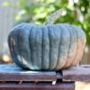 Squash (Winter) - Queensland Blue